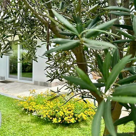 Villa Casa Mila White Marina di Cerveteri Exterior foto