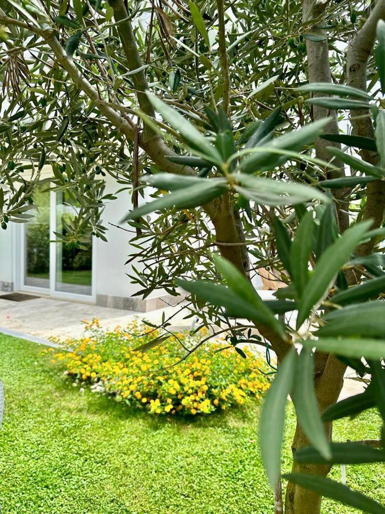 Casa Mila White